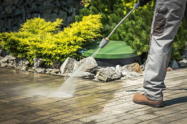 Best Dumpster Area Cleaning  in Waterville, OH